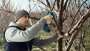 BOSCH akumulatorske škarje za obrezovanje Pro Pruner