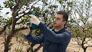 BOSCH akumulatorske škarje za obrezovanje Pro Pruner