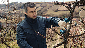 BOSCH akumulatorske škarje za obrezovanje Pro Pruner